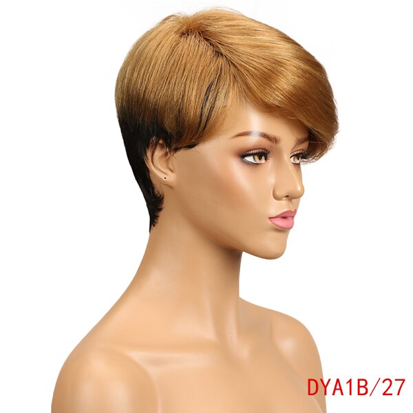 Perruque de Cheveux Péruvienne Remy Jessy
