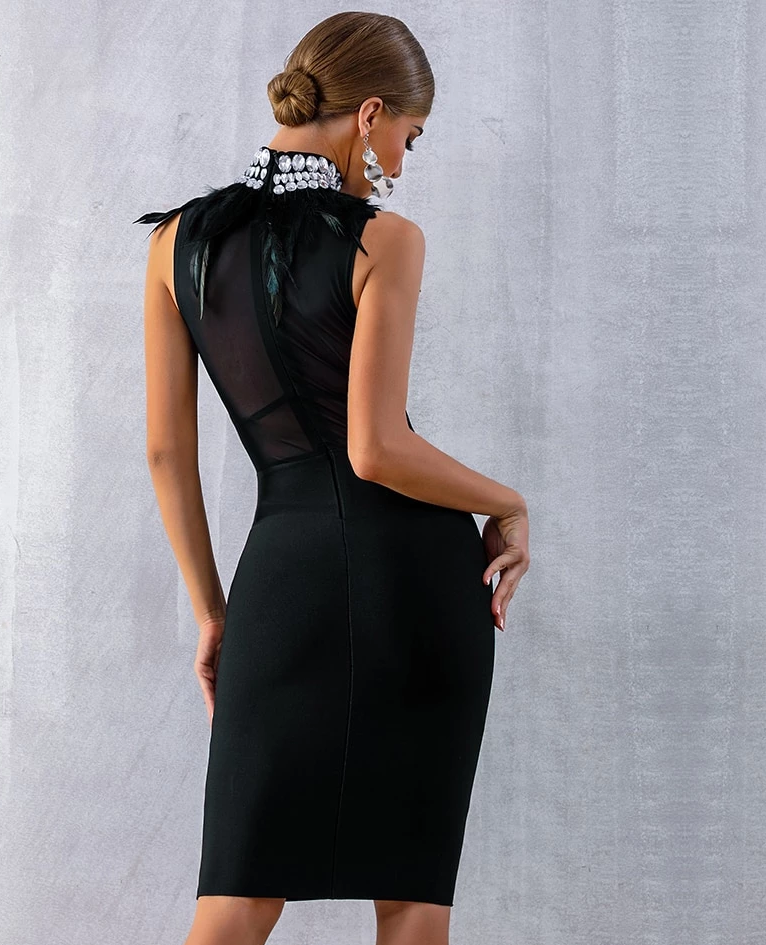 Robe De Luxe Sans Manches Noir Plume avec Diamant-robe-Adrienne&amp;Sandrine