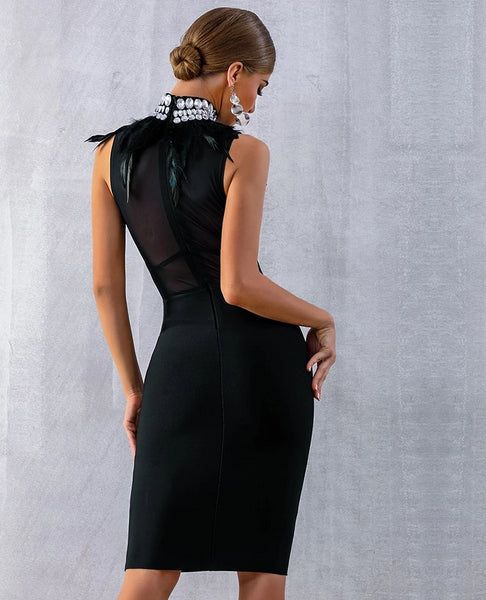 Robe De Luxe Sans Manches Noir Plume avec Diamant-robe-Adrienne&Sandrine
